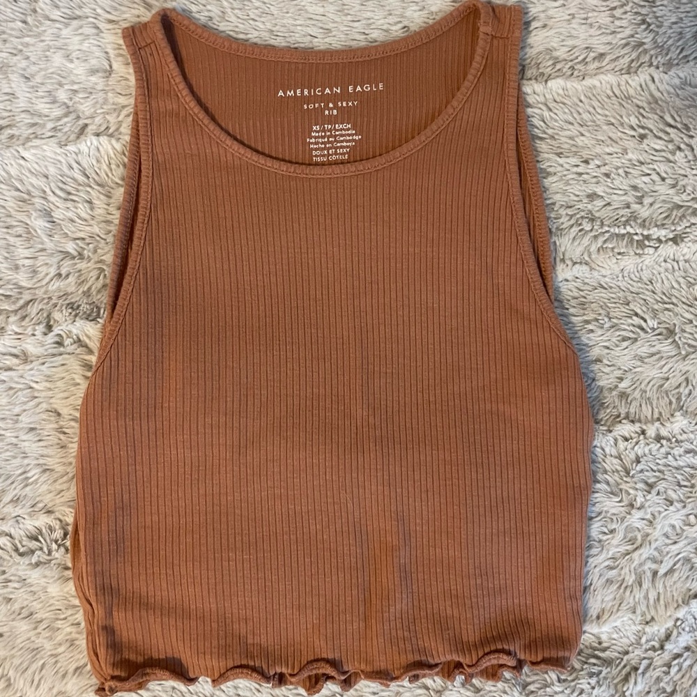 American Eagle Brown/Tan Crop Top